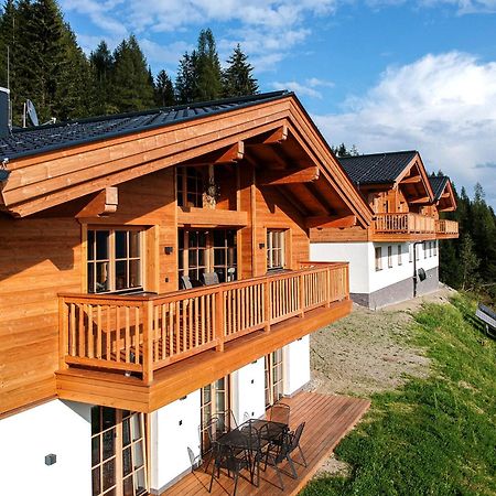 Skyberg Chalet Muhlbach Am Hochkonig Exterior photo