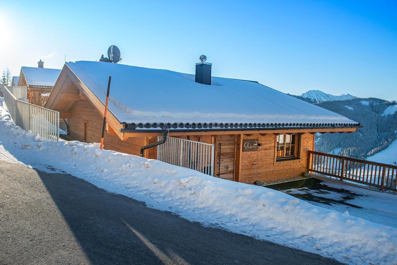 Skyberg Chalet Muhlbach Am Hochkonig Exterior photo